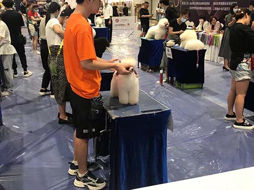 宠物展2.jpg